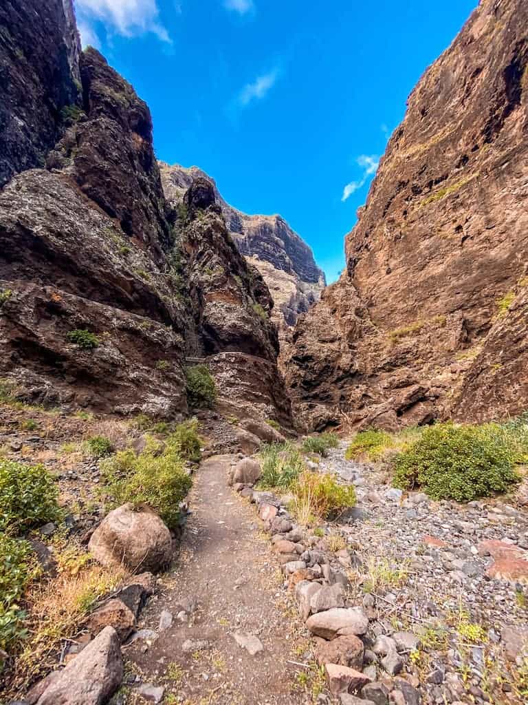 découvrez masca, un village pittoresque de ténérife, avec notre guide complet. explorez ses paysages à couper le souffle, ses sentiers de randonnée et ses trésors naturels. idéal pour les amateurs de nature et d'aventure, masca vous promet une expérience inoubliable au cœur de l'île.